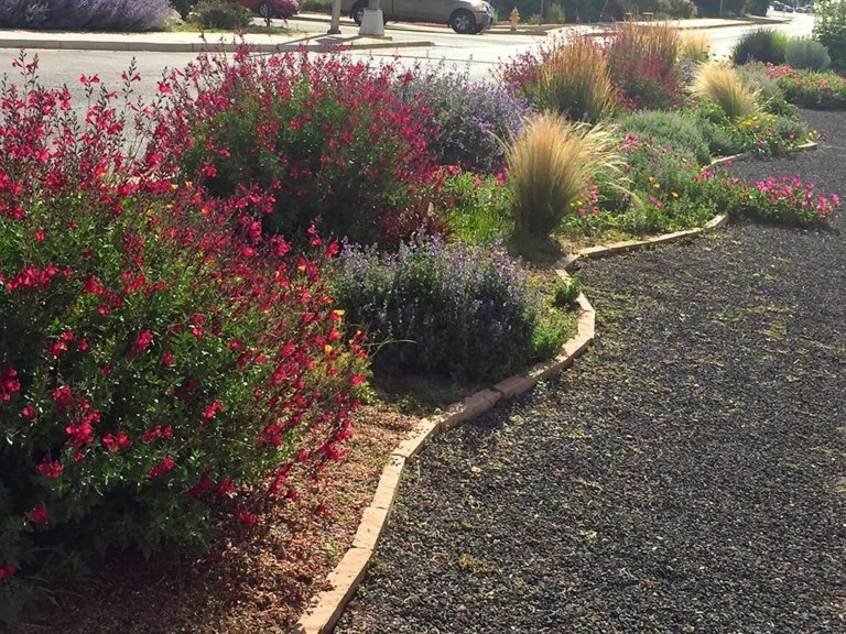 Xeriscaping in Santa Fe McCumber Fine Gardens