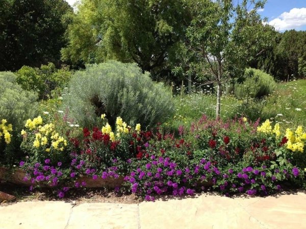 perennial-gardens-in-santa-fe-mccumber-fine-gardens