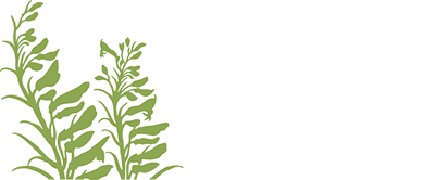 McCumber Fine Gardens