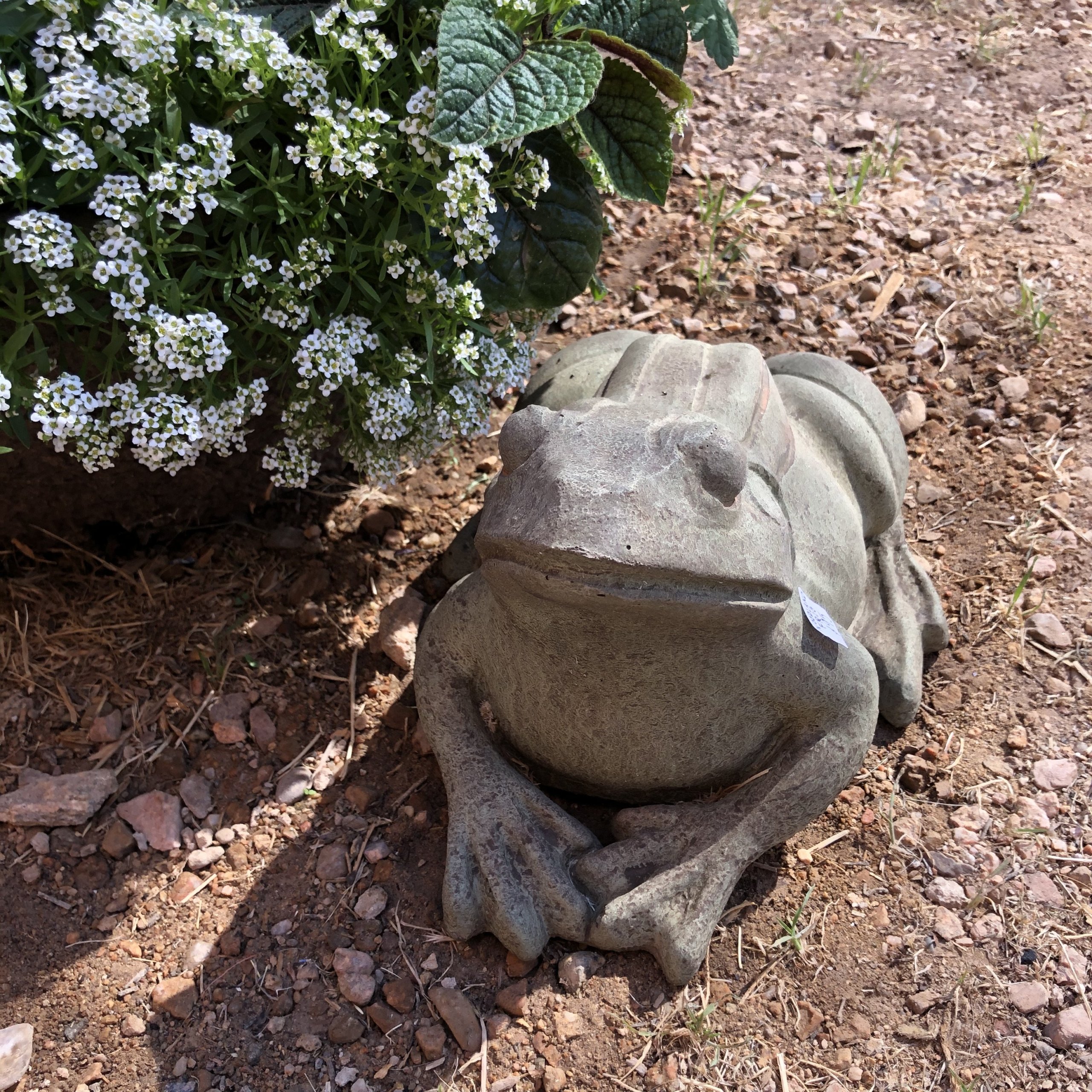 Woodland Frog Garden Statue McCumber Fine Gardens
