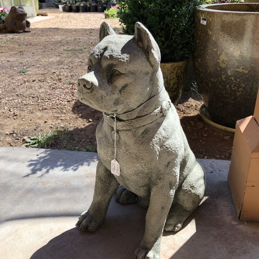Campania Lucky Guard Dog Garden Statue McCumber Fine Gardens