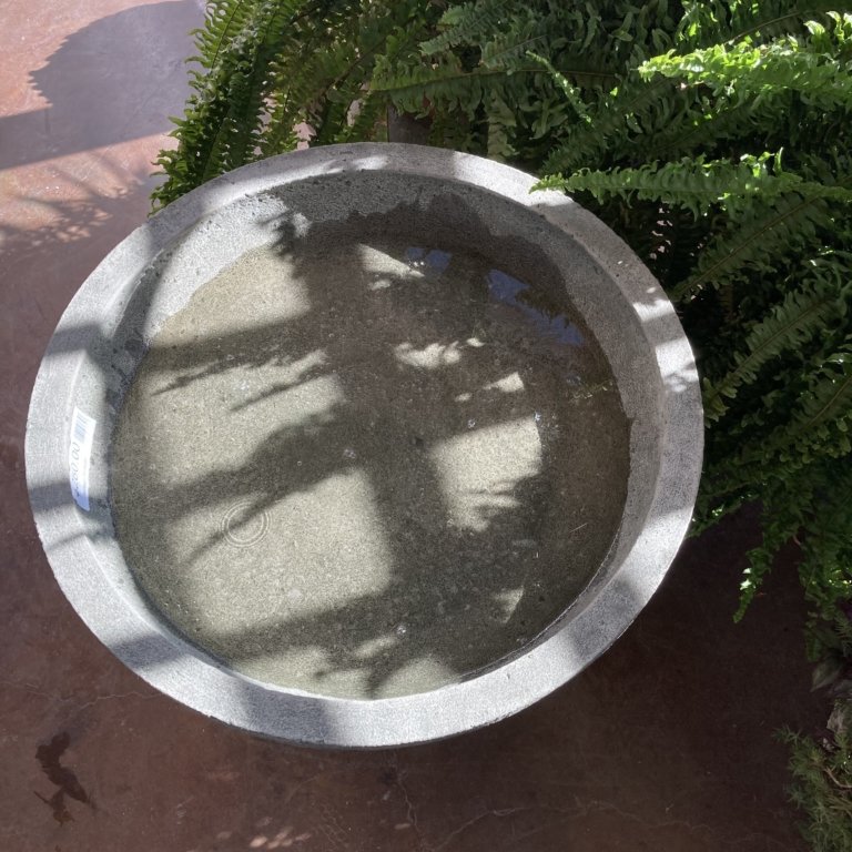 Campania Isleboro Birdbath - McCumber Fine Gardens