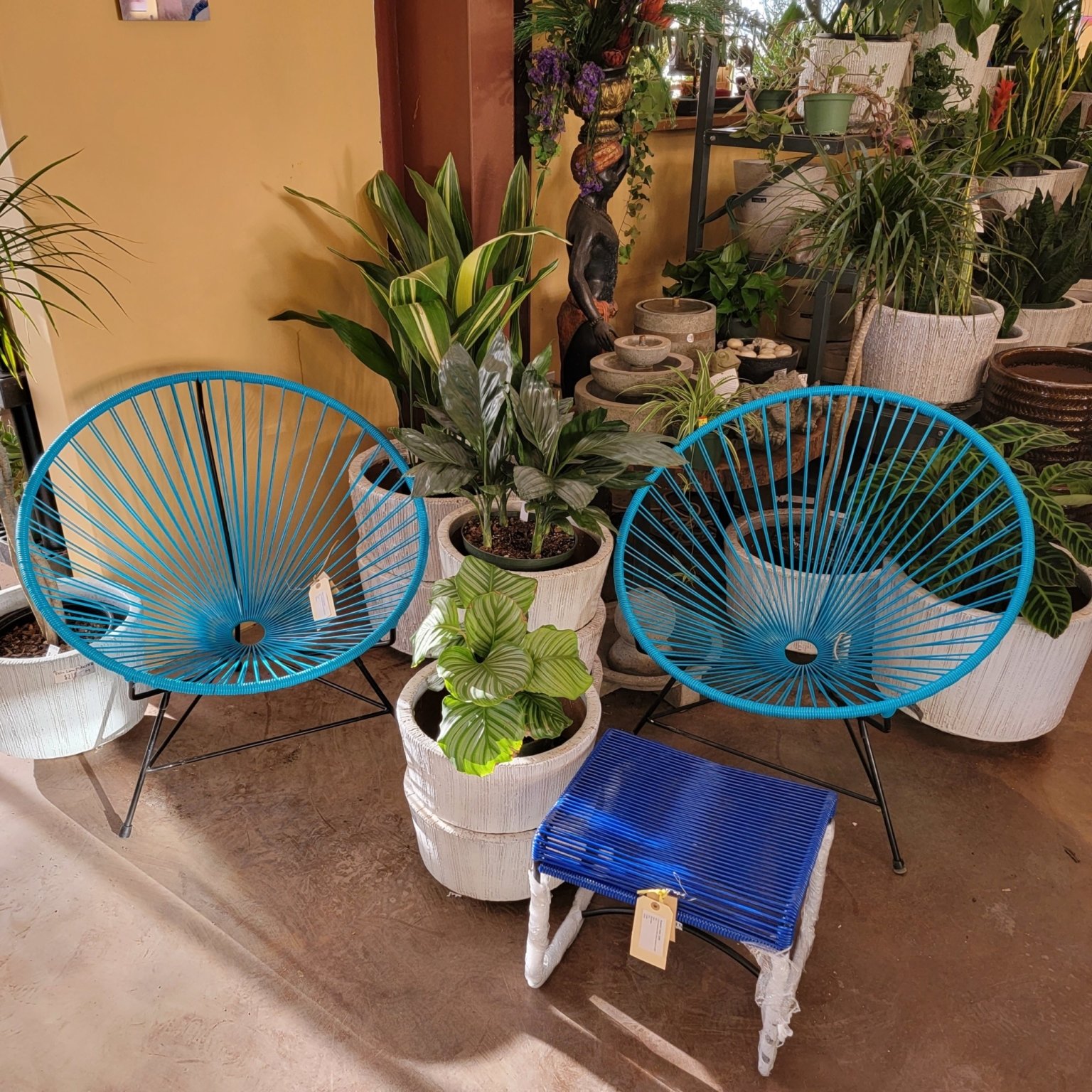 wasserette lexicon Strippen Acapulco 'O Chair - McCumber Fine Gardens