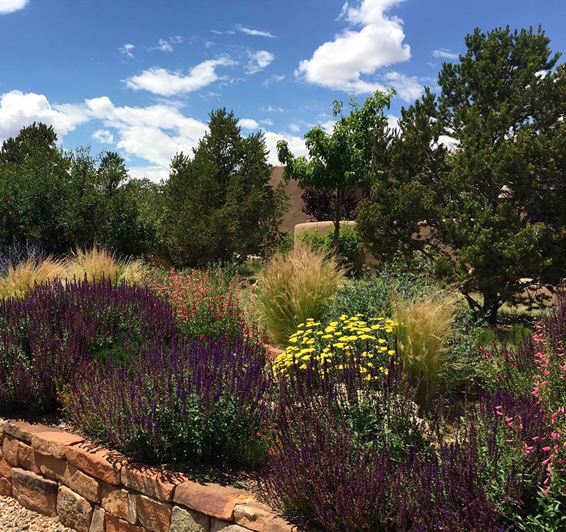 Xeriscaping in Santa Fe - McCumber Fine Gardens