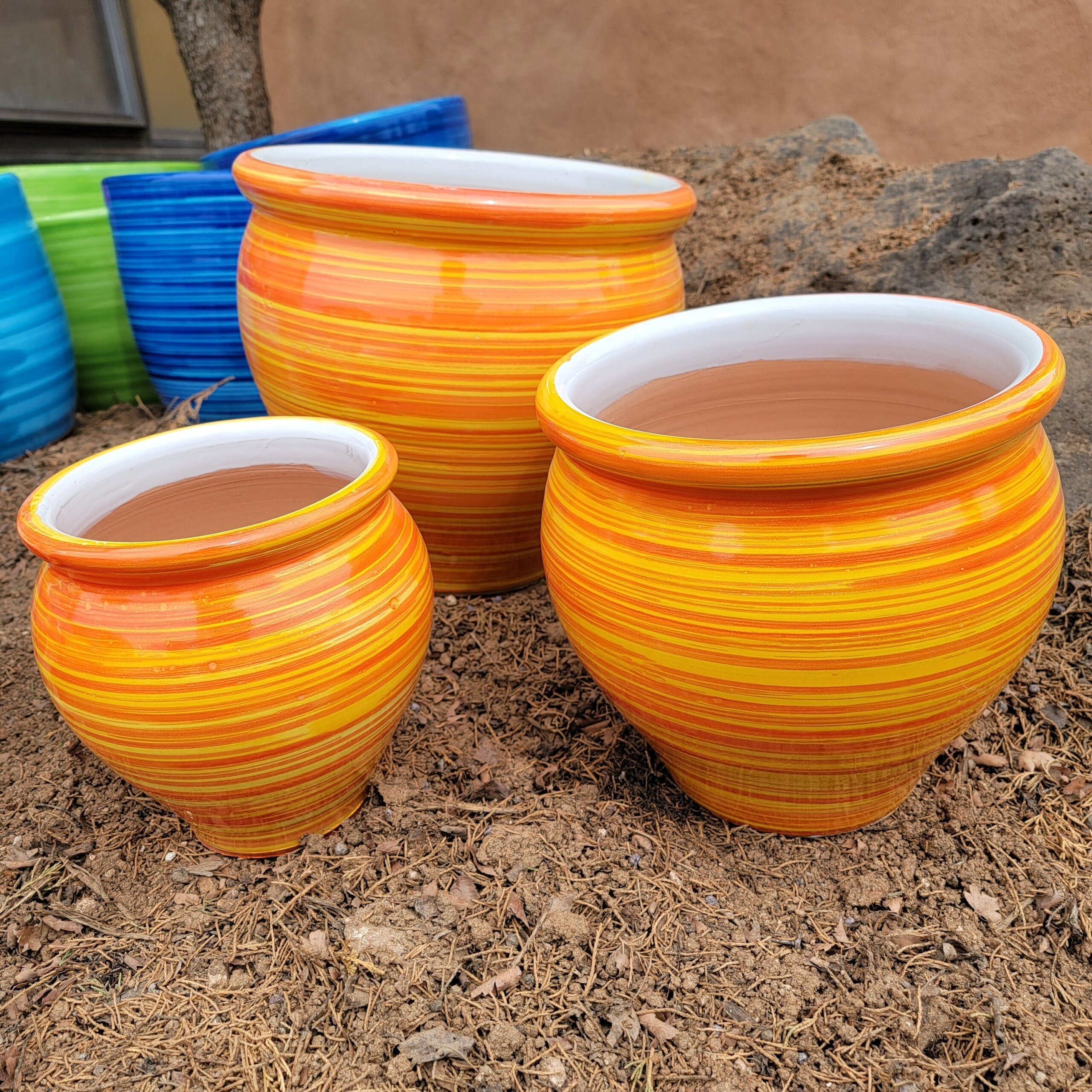 Coco Planter Bold McCumber Fine Gardens