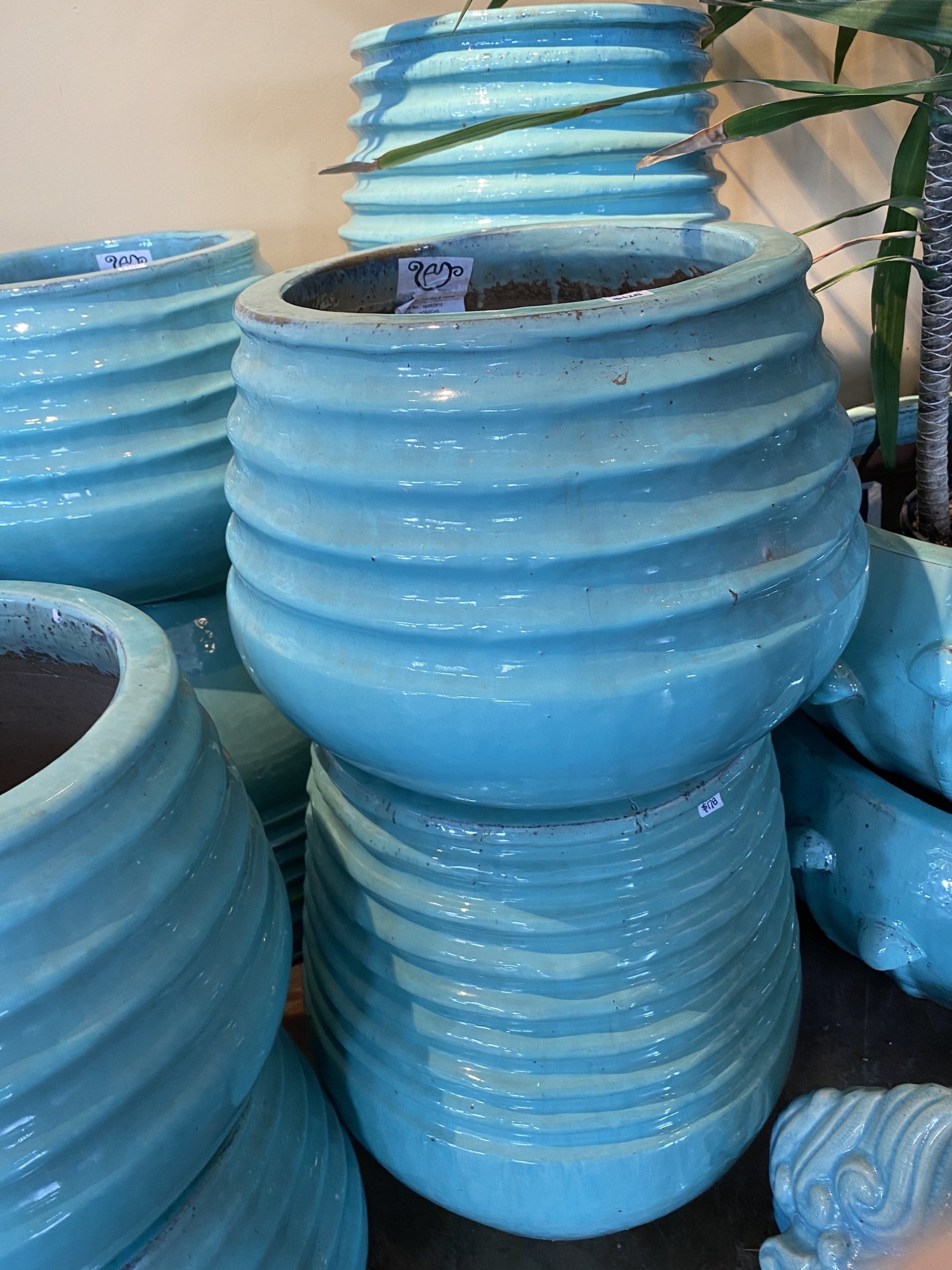 Anamese Coiled Rim Planter – Capri