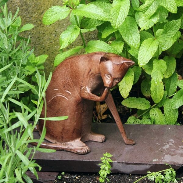 Achla Coy Cat